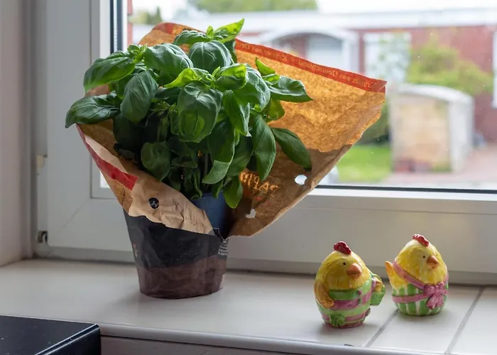 Meermaid Dornumersiel